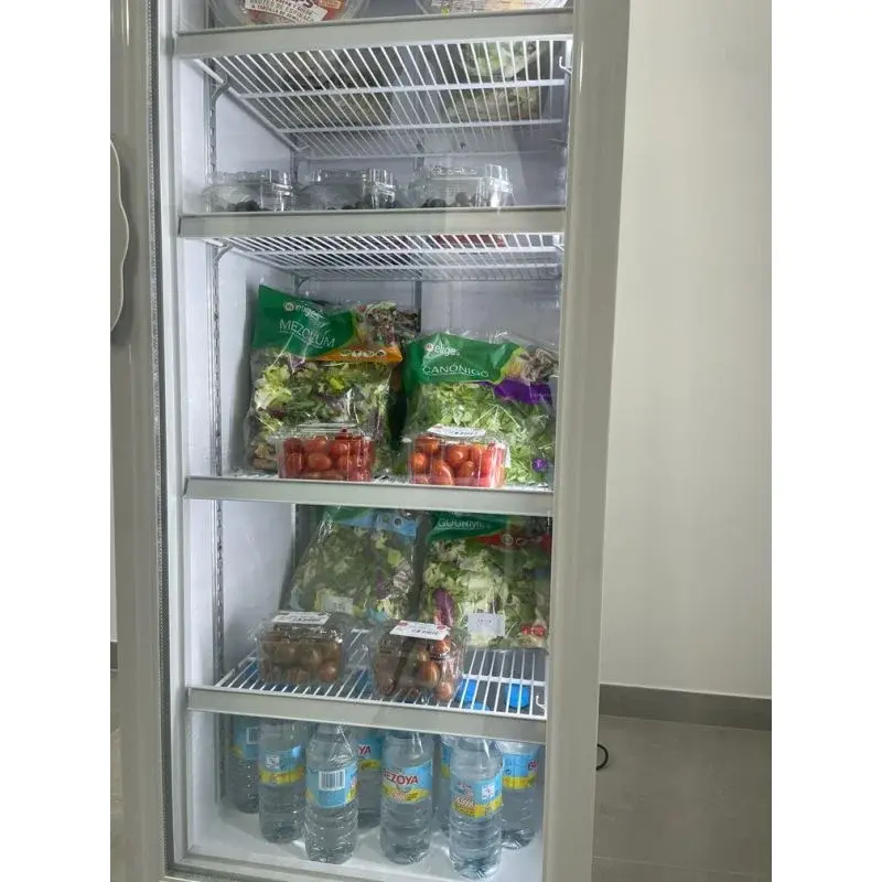 Unifrost GDR300 Display Fridge 300L Double Glazed Door 2