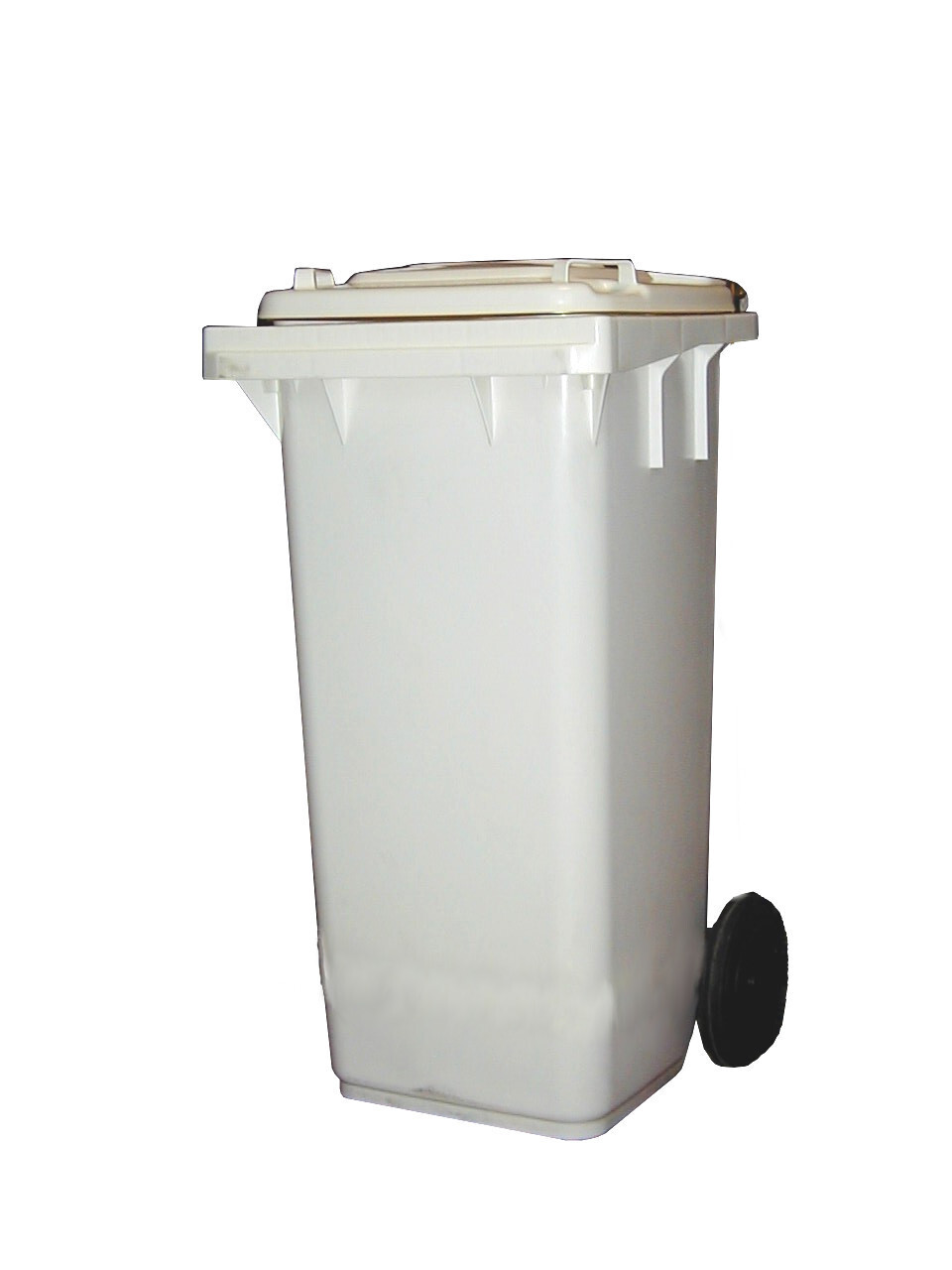 Commercial Disposal Bin 240L, Heavy-Duty Waste Container 1