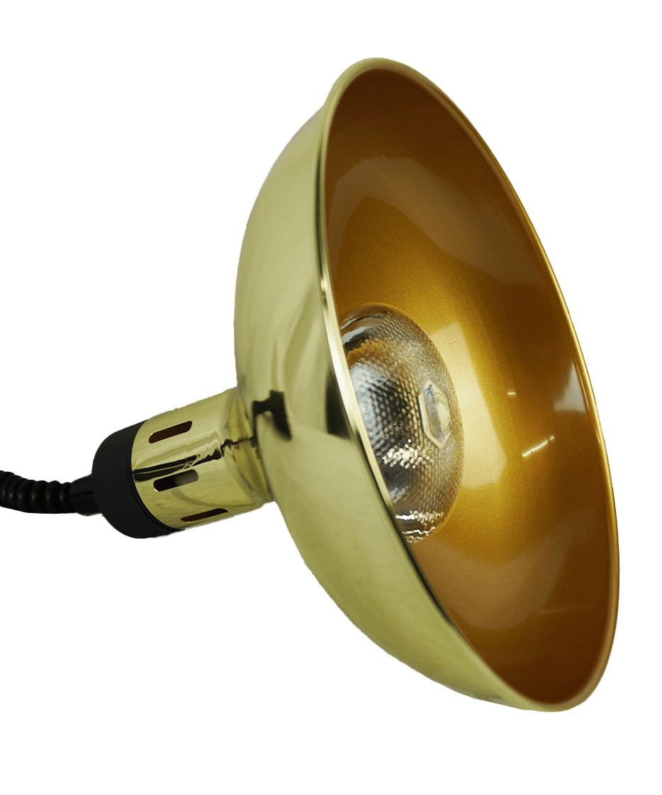 Chefs Heat Telescopic Heat Lamp CH-03 Gold, 0.25 kW, Adjustable Height 5